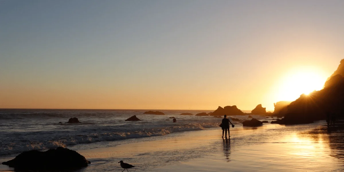 Los Angeles 2-min.webp